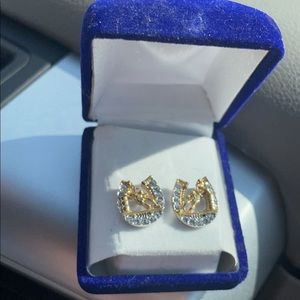 Barrel racer earrings